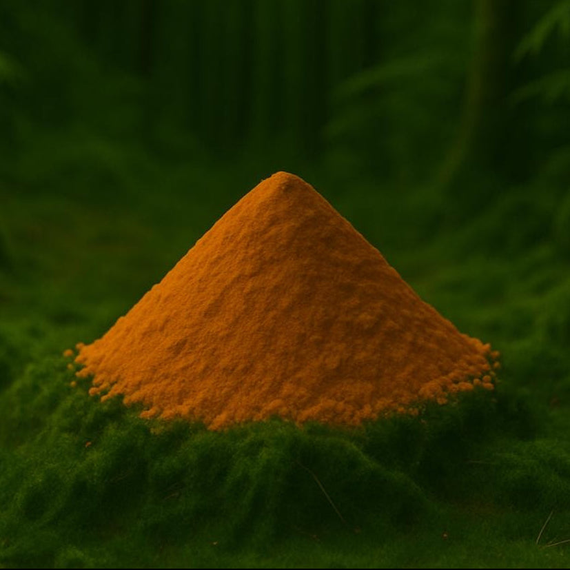 Turmeric • Extract powder with 95% curcuminoids, non-encapsulated • Joints, antioxidant, digestion • 25g 50g 100g